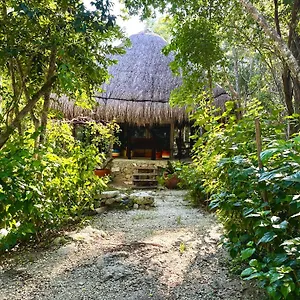  Camping Glamping Bunga Lotus México